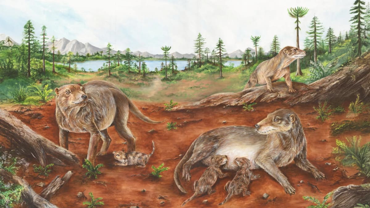 236-Million-Year-Old Fossil Reveals Early Mammal Live Birth