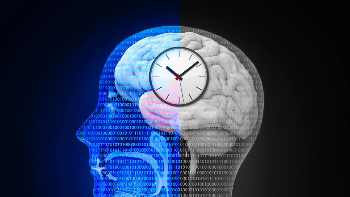 Fasting Diet Rewires Gut and Brain to Aid Weight Loss