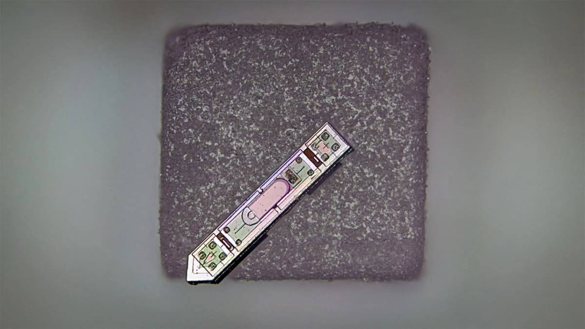 Microscopic neural implant device resting on a grain of white salt for size comparison