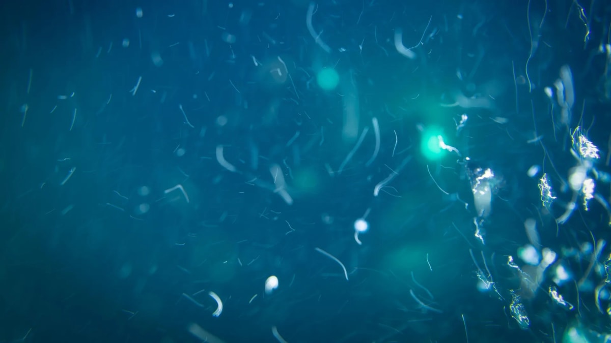 Microscopic marine snow particles sinking through deep blue ocean waters under extreme pressure