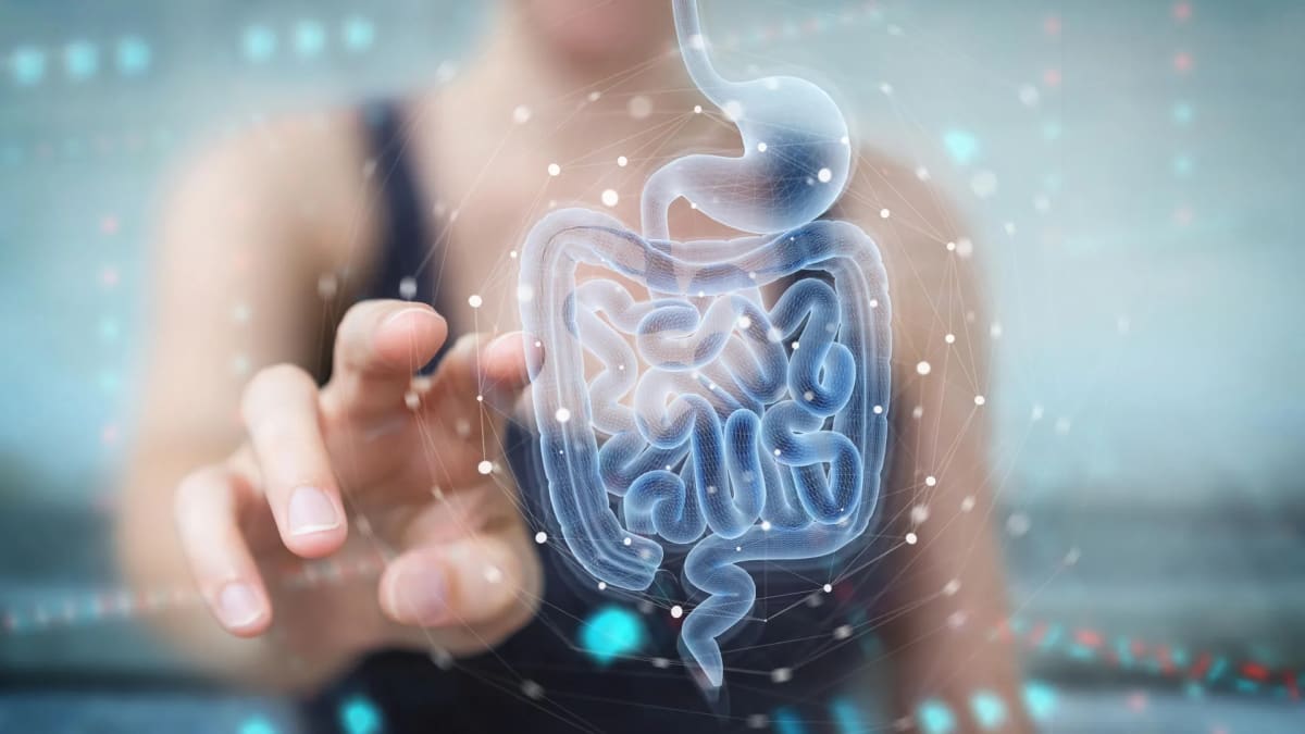 Gut Compound From Berries May Heal Intestinal Damage
