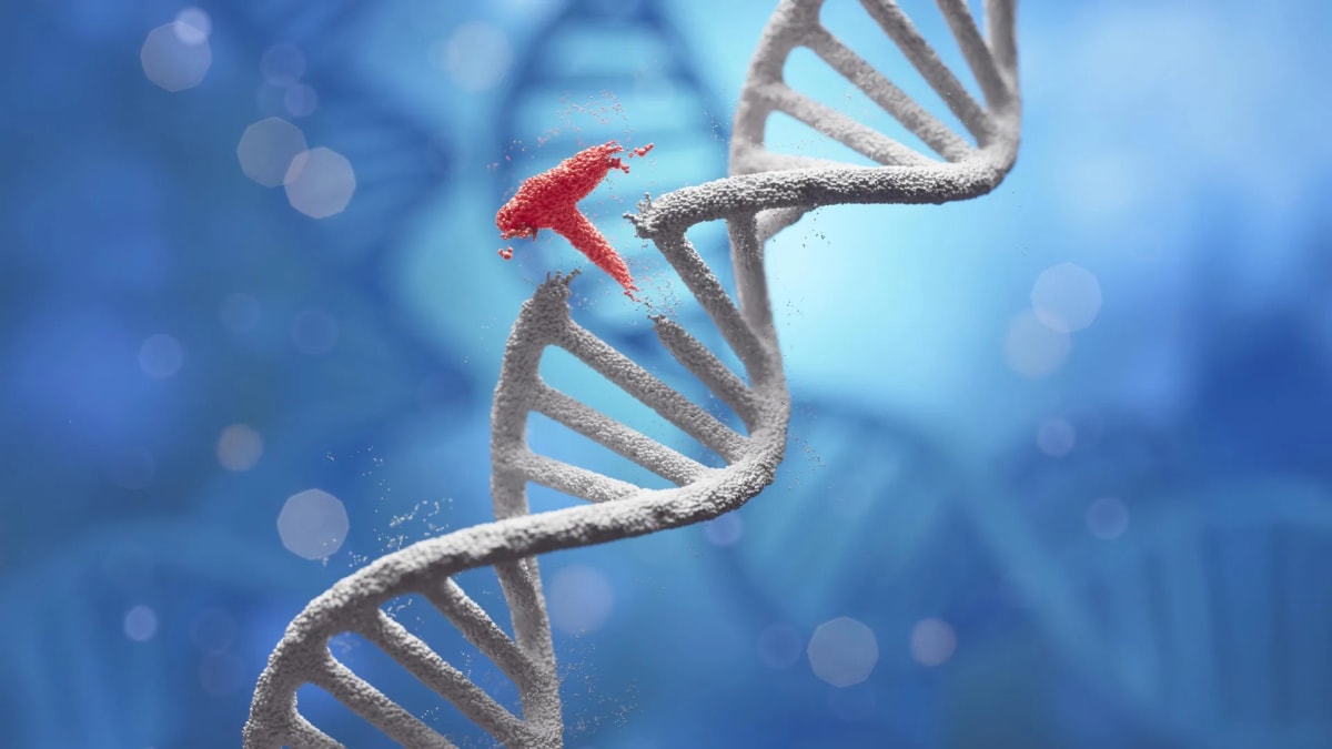 Silver Nanoparticles Make DNA Assembly 5x More Efficient
