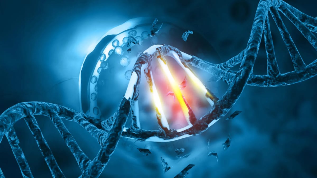 DNA Gene Gone Rogue Could Help 30% of Cancer Patients