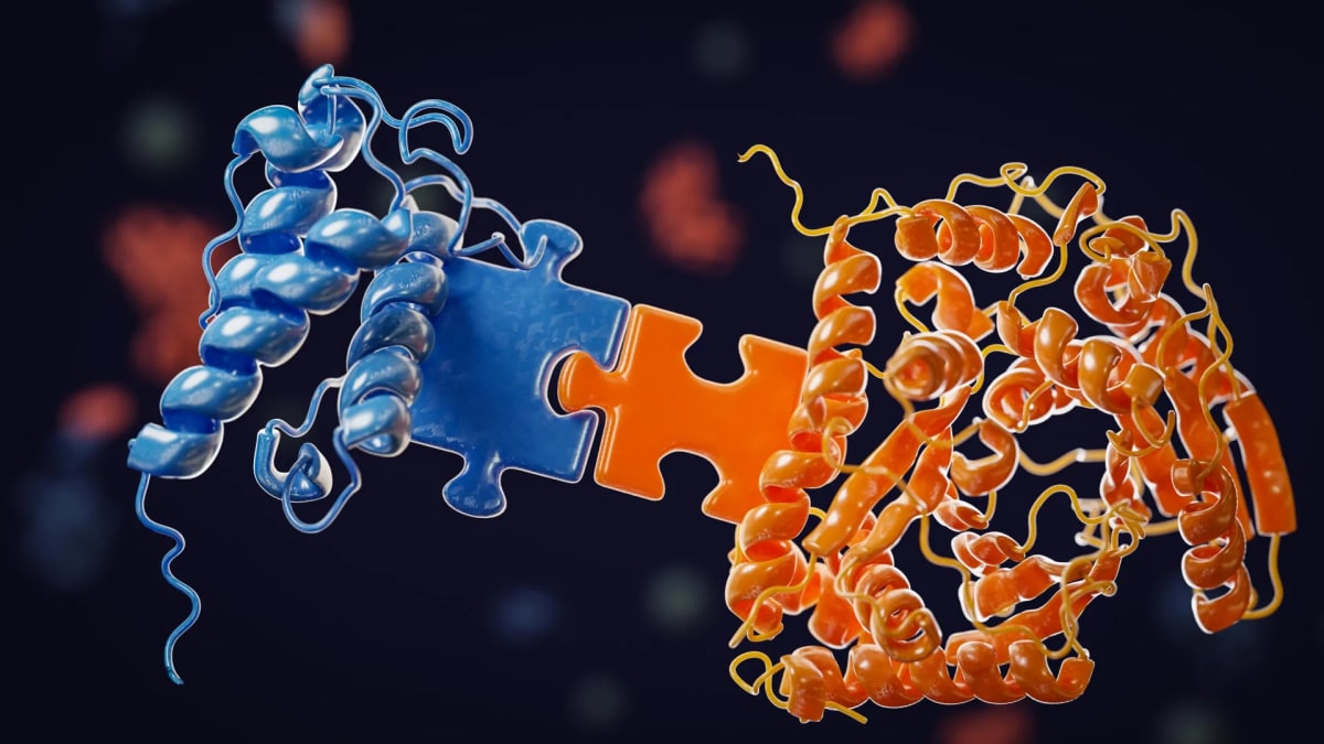 Molecular illustration showing bacterial enzyme docking domains connecting like puzzle pieces to build cancer drugs