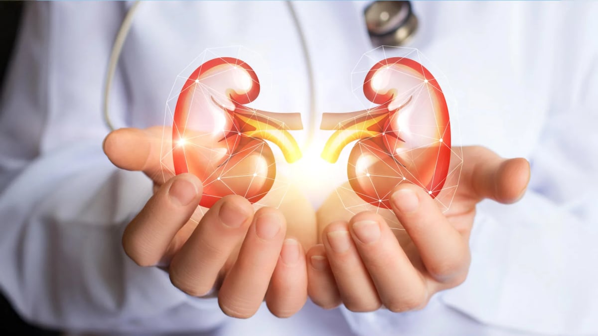 New Drug Slows Kidney Disease for 800 Million Worldwide