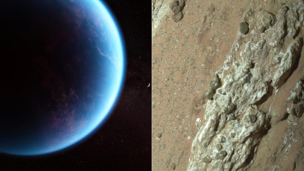 Scientists Survey Finds Caution on Alien Life Claims