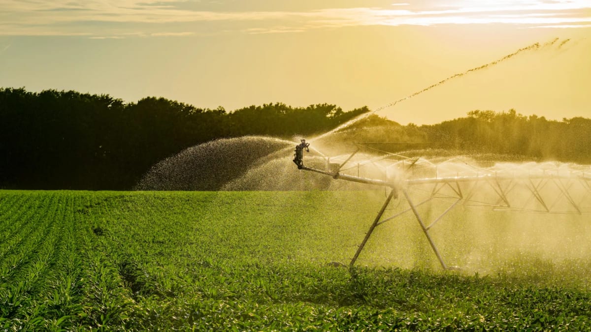 Irrigation system watering green crops on American farmland under blue sky