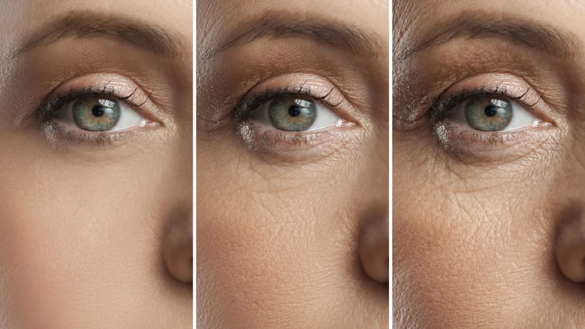 UC Irvine Scientists Reverse Vision Loss in Aging Mice