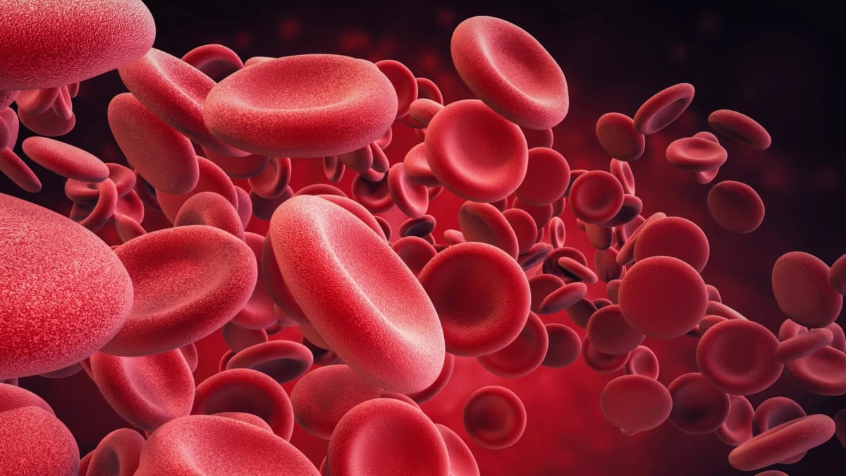 Scientists Reverse Aging in Blood Stem Cells in Mice
