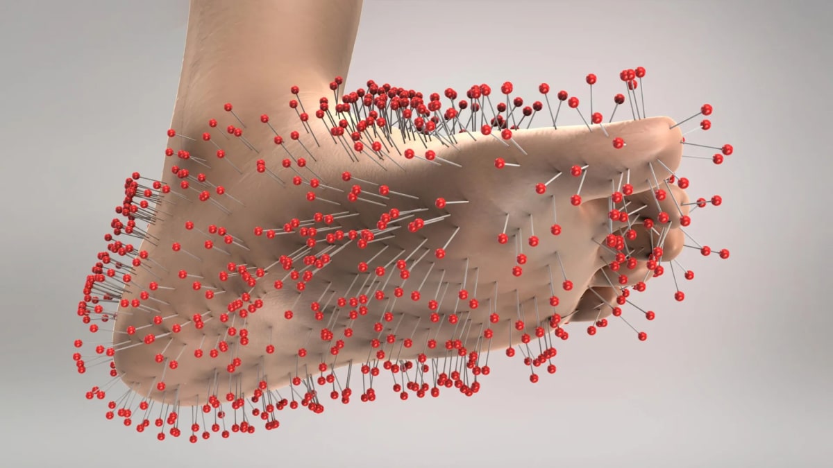 Duke Scientists "Recharge" Nerves to Stop Chronic Pain