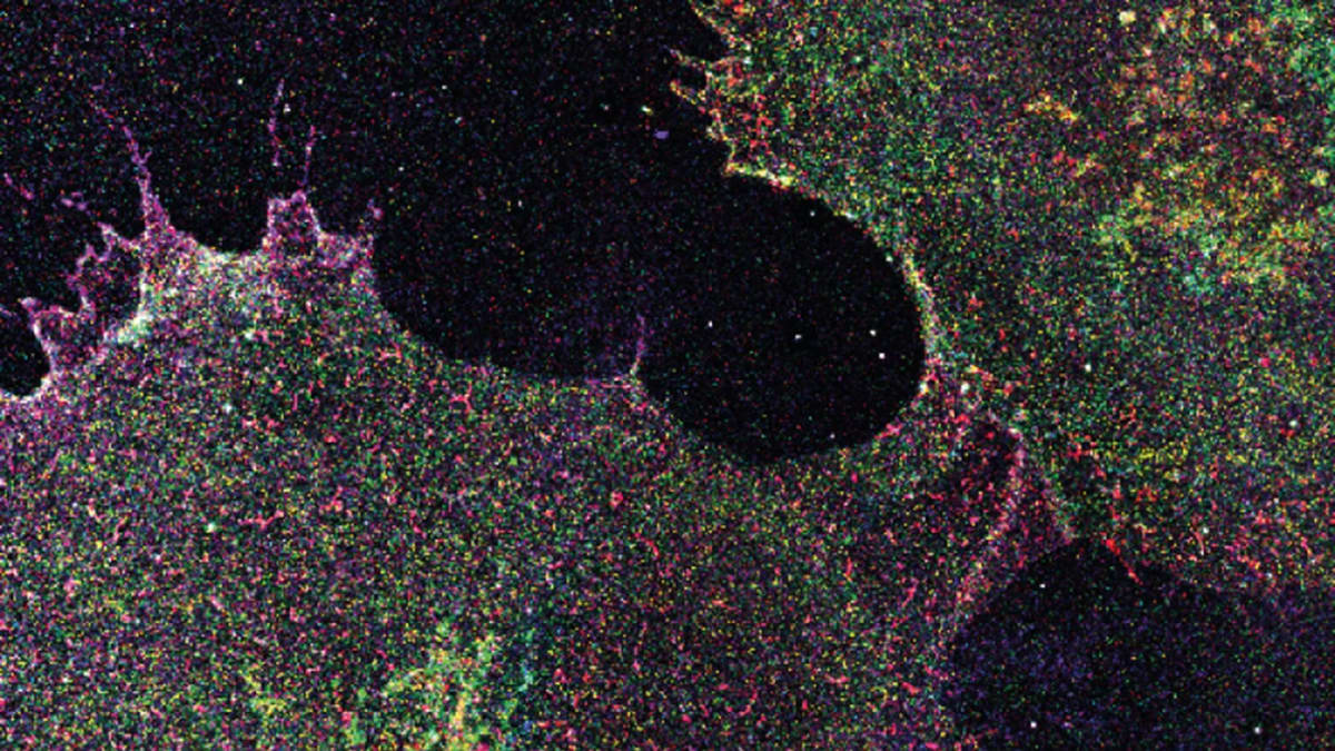 Colorful microscopy map showing various sugar molecule structures coating a human blood vessel cell