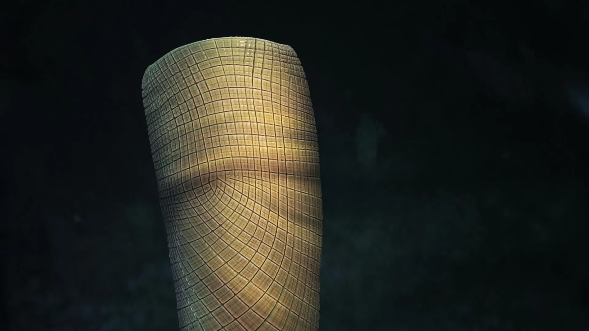 Ancient sea sponge fossil showing distinctive grid pattern preserved in rock formation