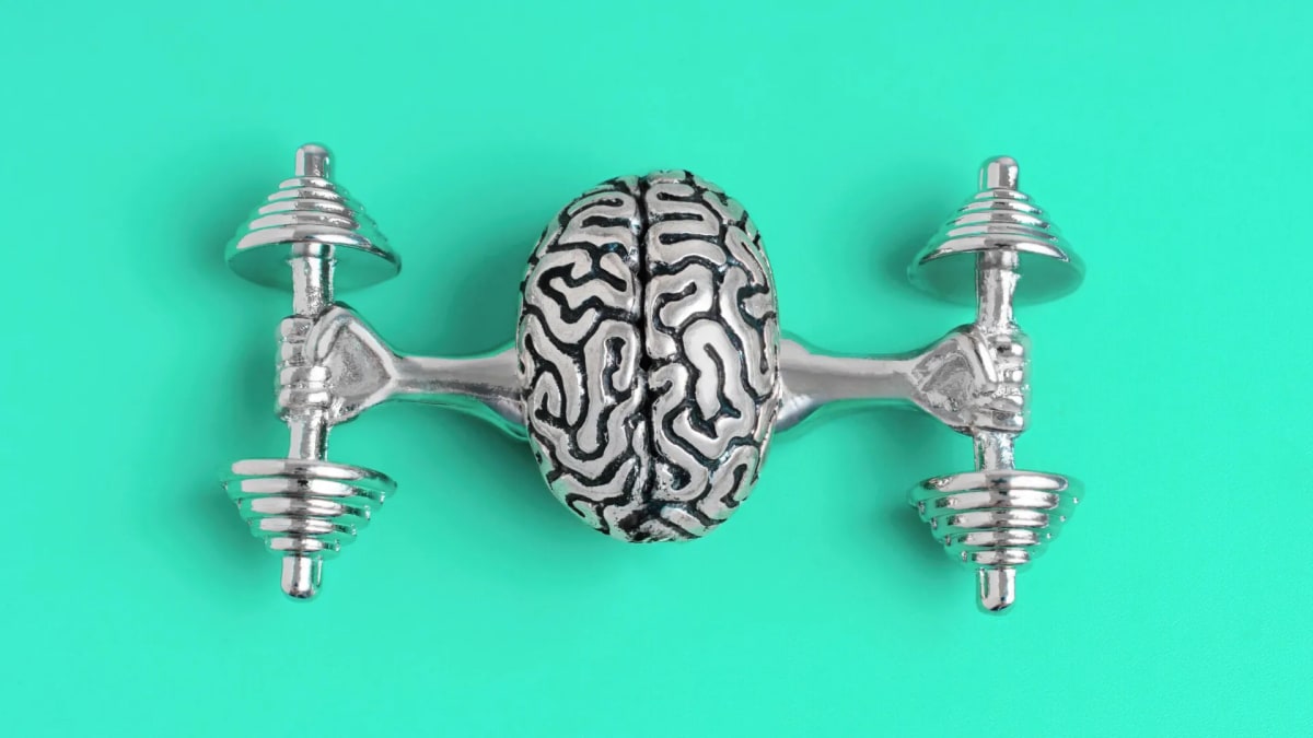 Brain Cells That Keep You Going Through Hard Tasks Found