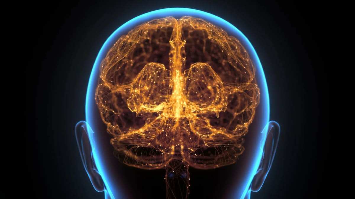 Scientists Find Brain's Secret Weapon Against Cancer