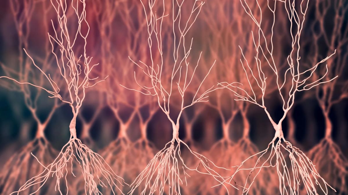 Scientists Create Two New Tools to Unlock Alzheimer's Cure