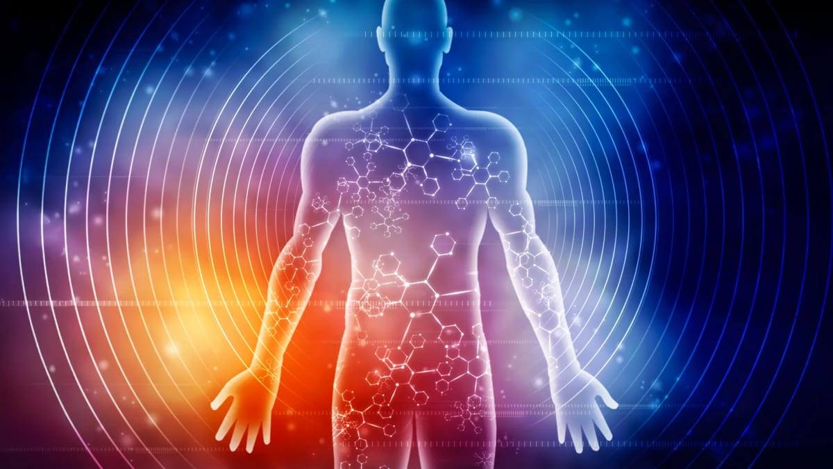 Scientific illustration showing molecular transformation happening inside human body during extended fasting period