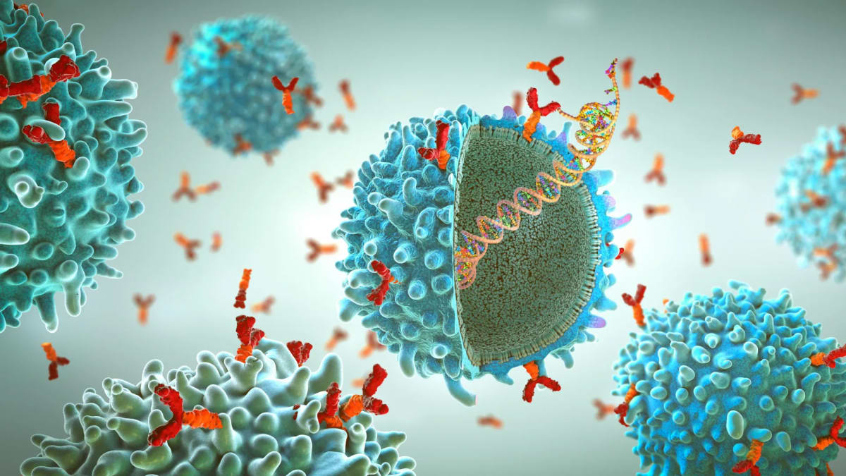 Scientists Find HIV and Ebola Weak Spots With New Tech
