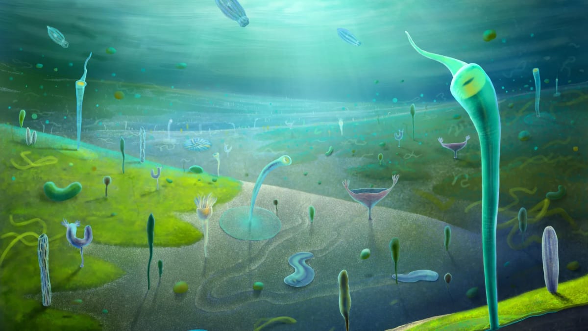 Artist reconstruction of ancient seafloor ecosystem from 550 million years ago with diverse early animals