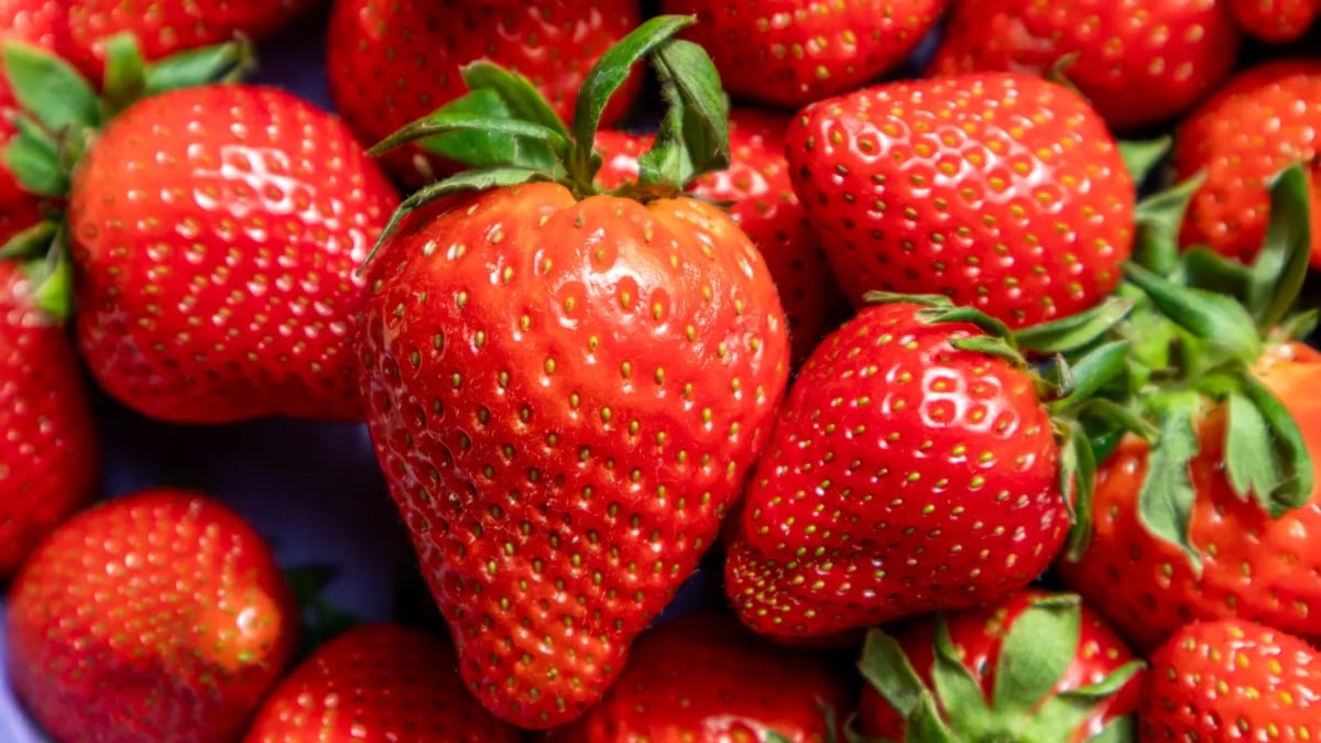 Scientists Decode Strawberry DNA Using Hidden Time Stamps