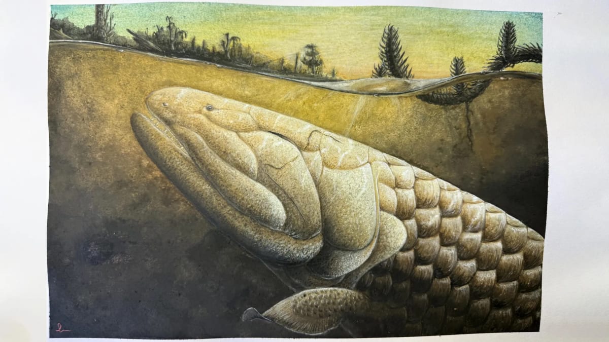 380-Million-Year-Old Fish Shows How We Left the Water