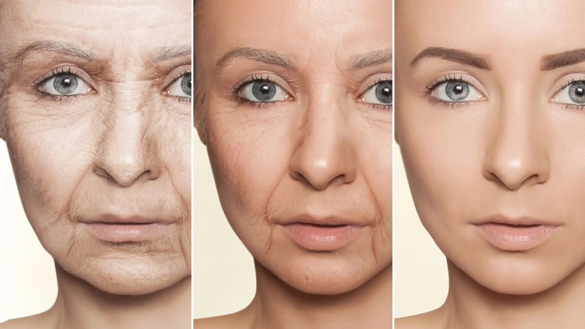 Scientists Reverse Brain Aging in Mice With Simple Amino Acid