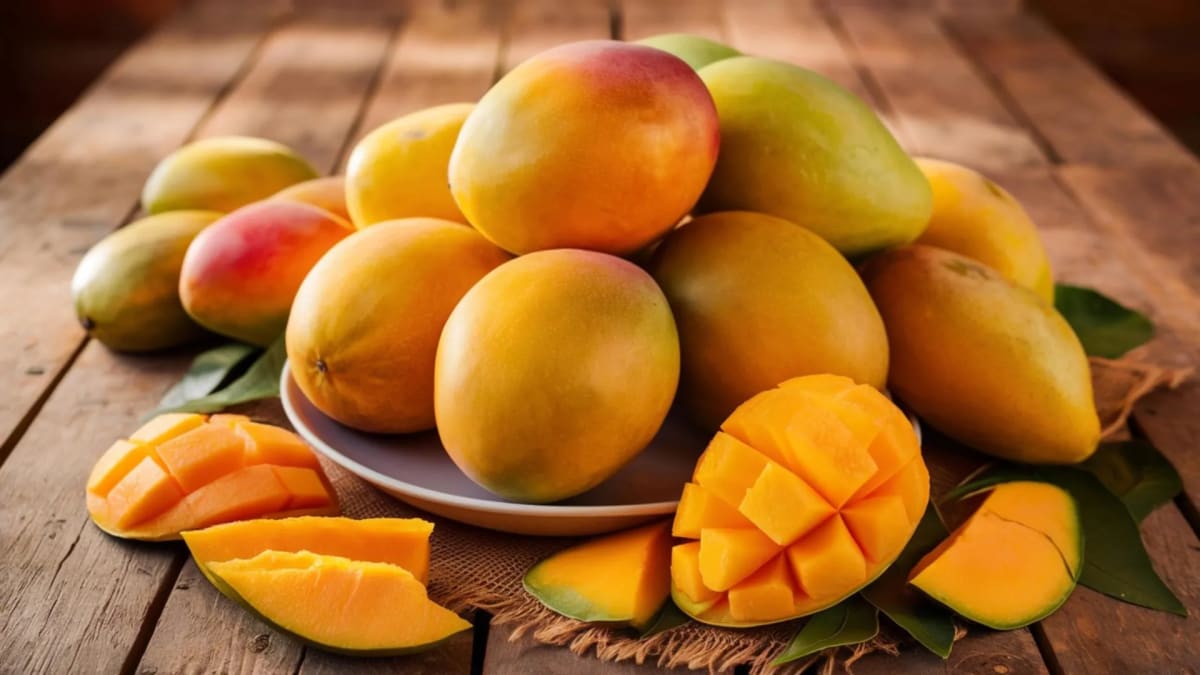 Fresh green mangoes stored in controlled temperature facility for optimal preservation