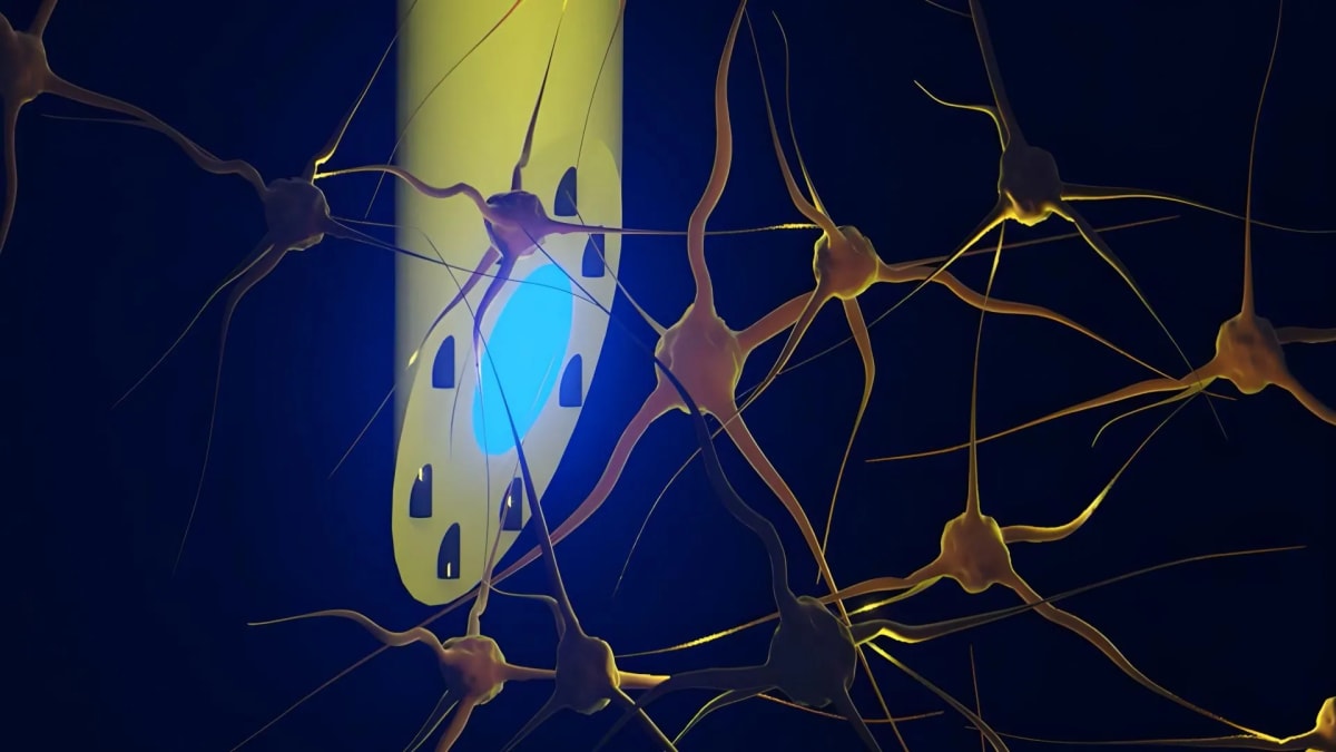 Needle-Thin Brain Implant Does 3 Jobs at Once in Mice