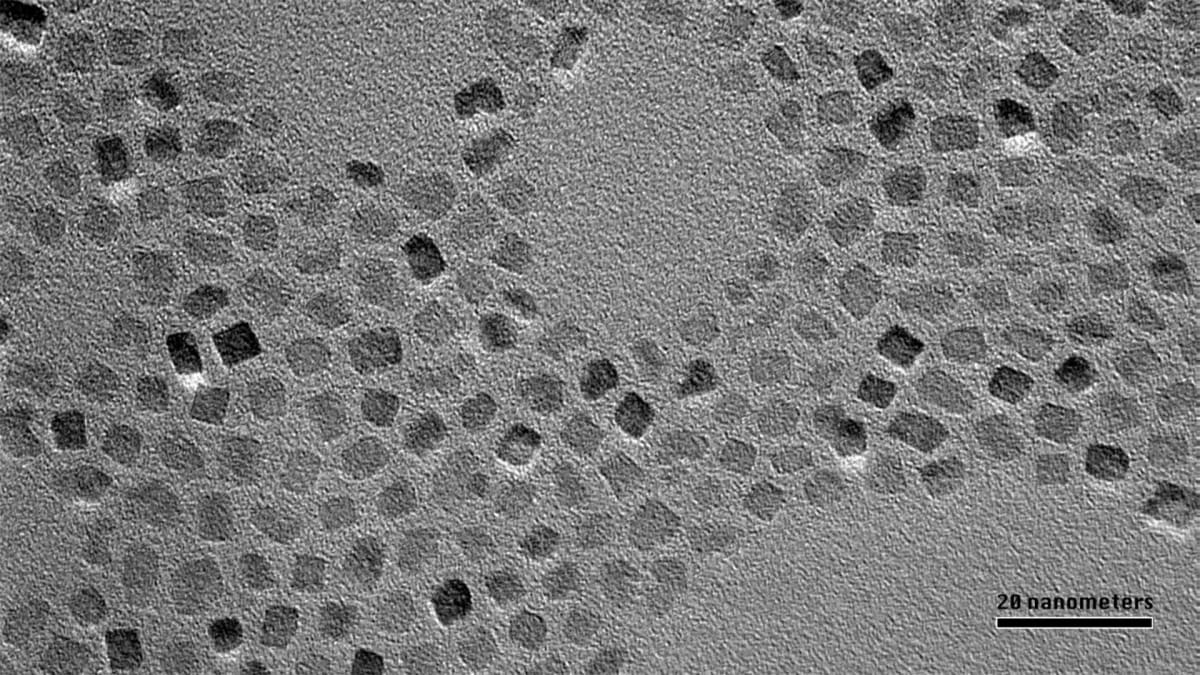 Electron microscope image showing billions of tiny metal nitride nanocrystals clustered together