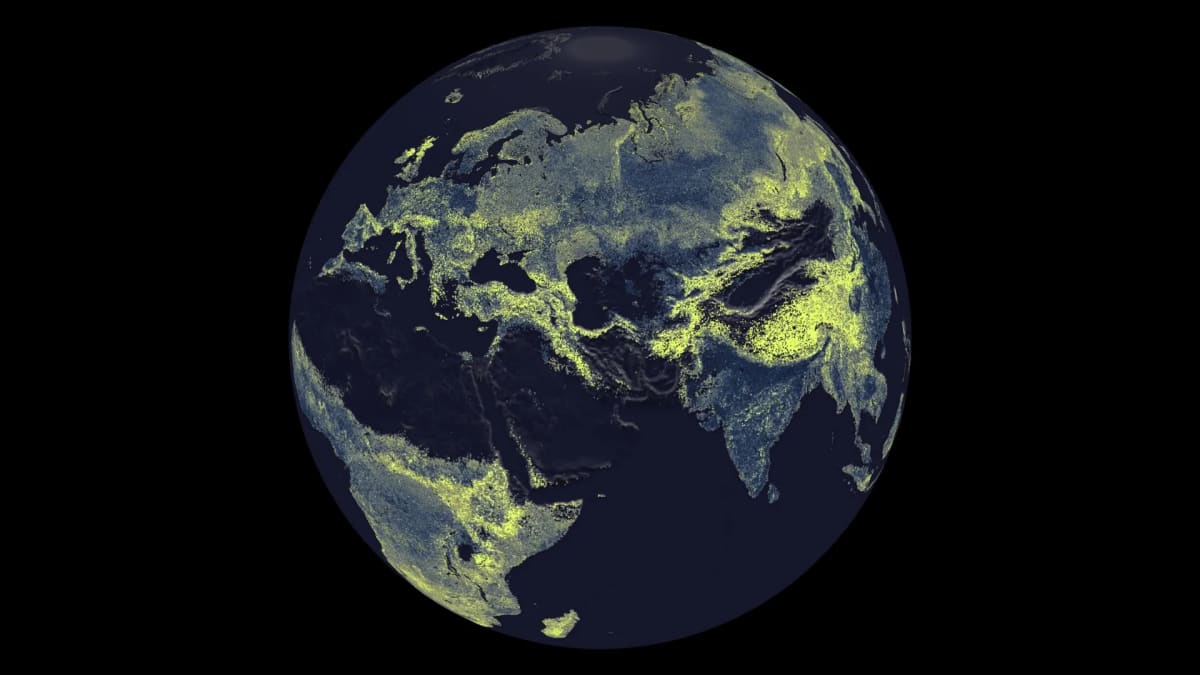 Scientists Map 68 Quadrillion Miles of Underground Fungi