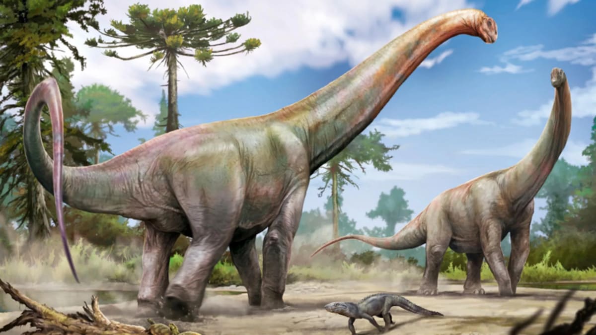 65-Foot Dinosaur Found Under Brazil Road Links Two Continents