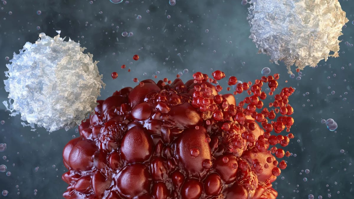 Scientists Supercharge Immune Cells to Fight Cancer