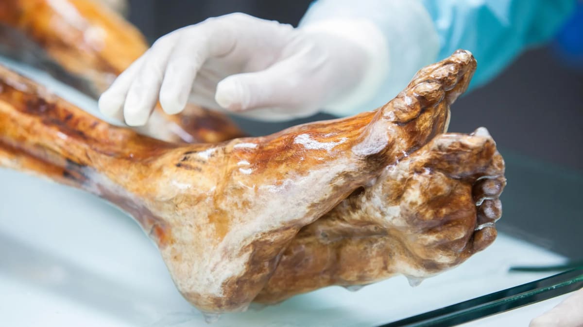 Ötzi the Iceman mummy preserved in refrigerated chamber at South Tyrol Museum of Archaeology