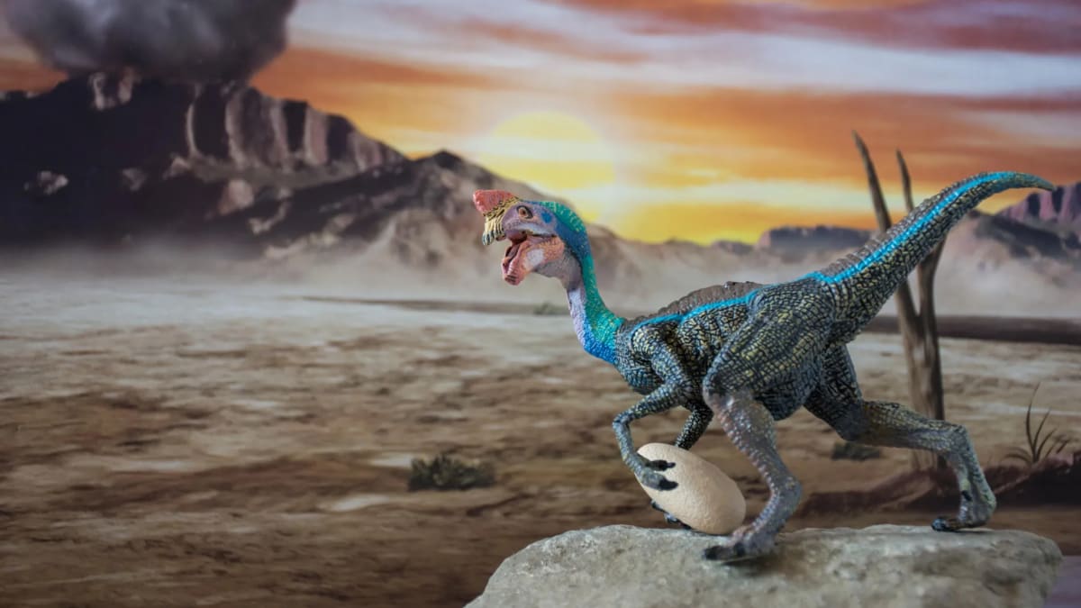 Life-size scientific model of oviraptor dinosaur sitting on ring-shaped nest with multiple eggs