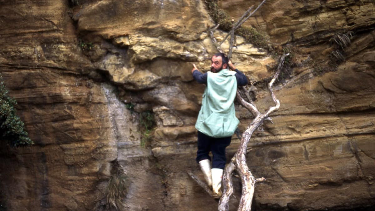 Paleontologist Richard Köhler pointing at large fossil fish embedded in cliff face on remote island
