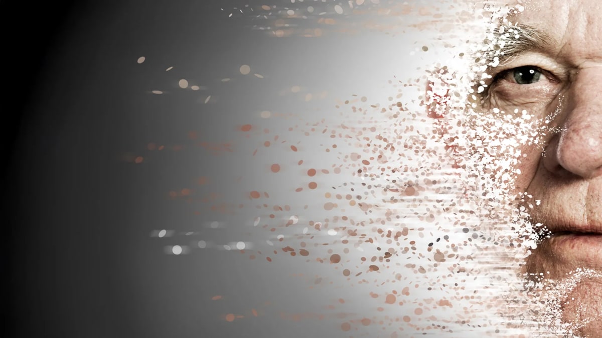Microscopic view of tissue-resident macrophages clearing damaged immune cells from organ tissue