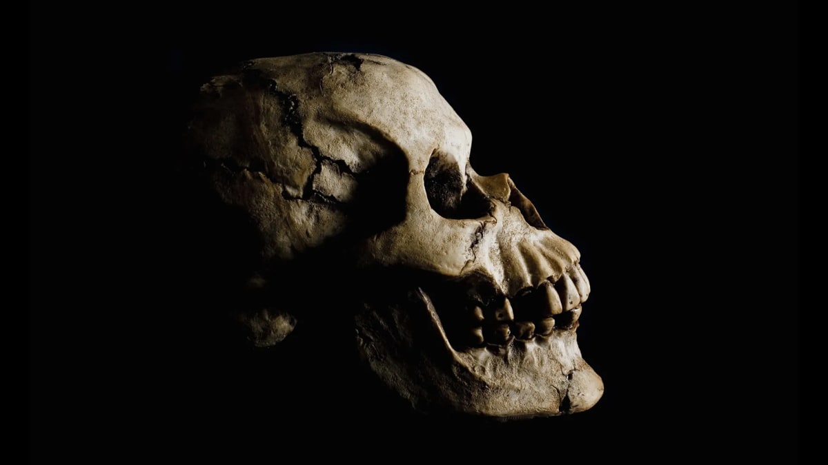 Ethiopia Fossil Find Reveals Human Ancestors Lived Together