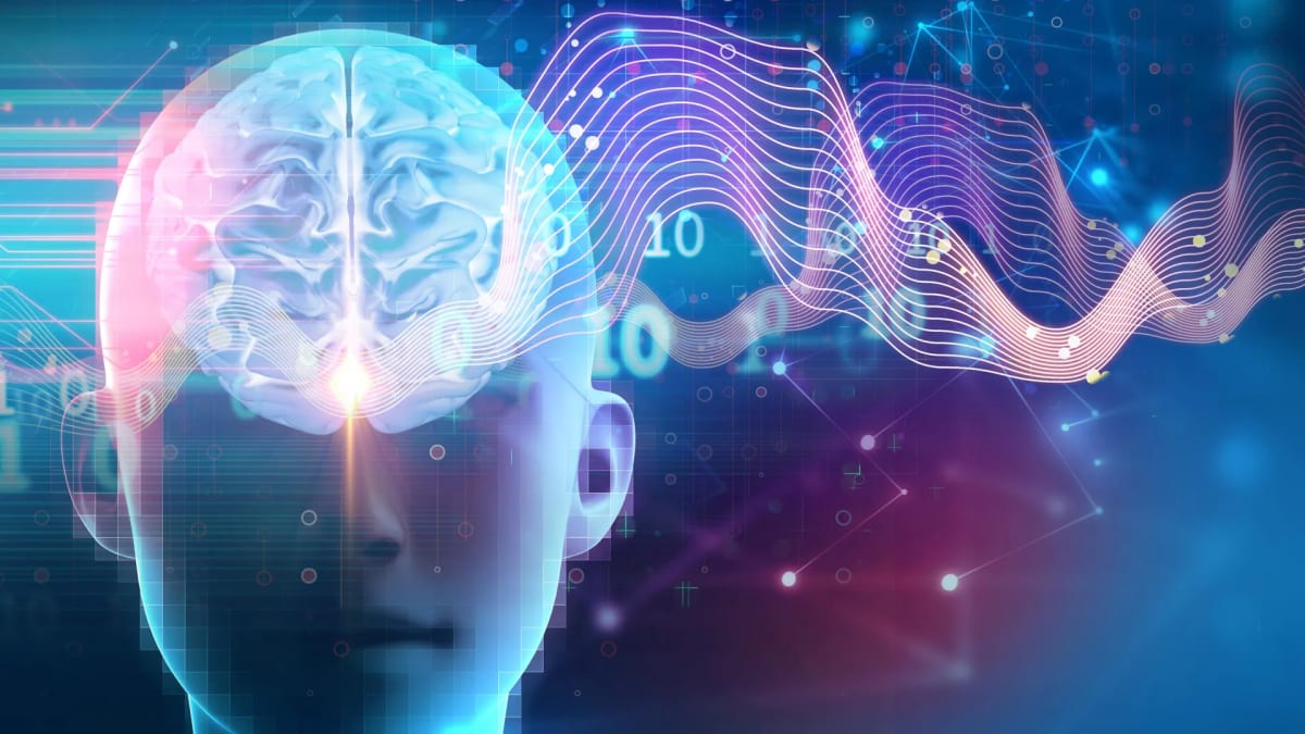 Deep Sleep Triggers Brain Circuit That Builds Muscle, Burns Fat