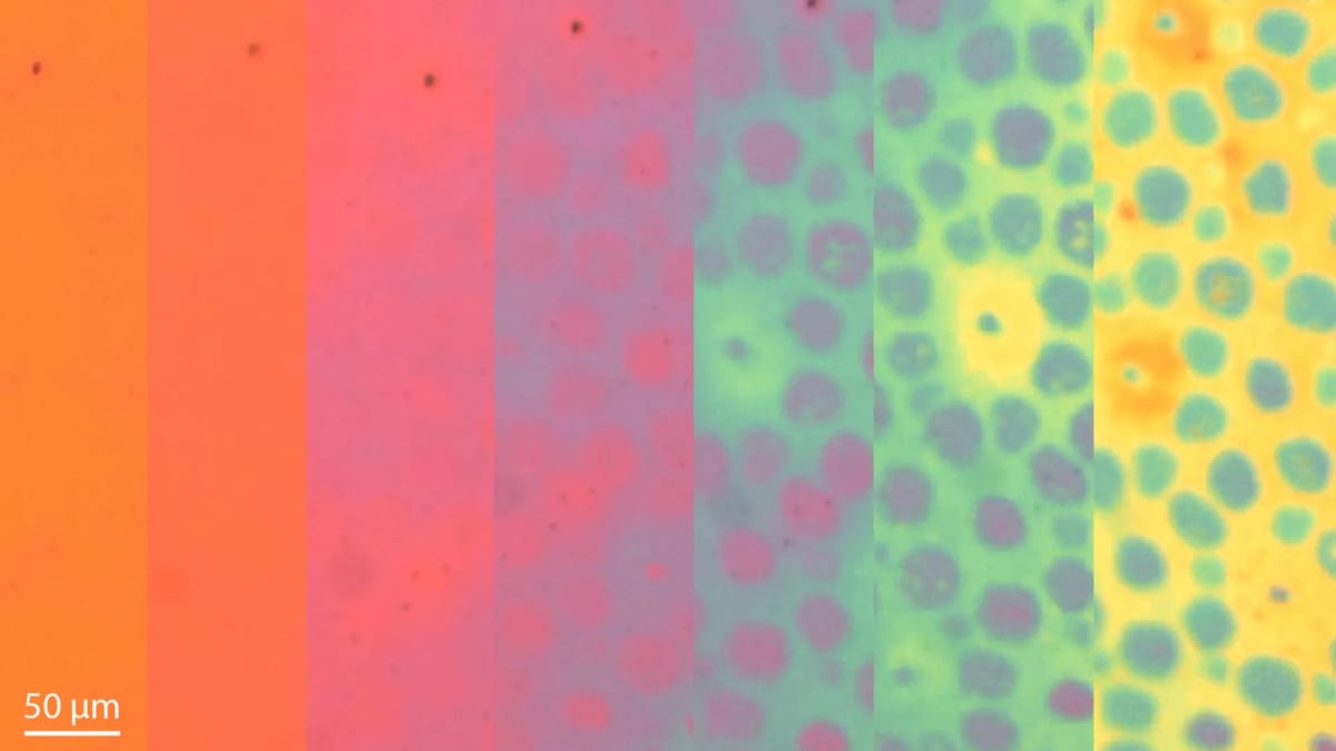 Stanford Creates Color-Changing Material Like Octopus Skin