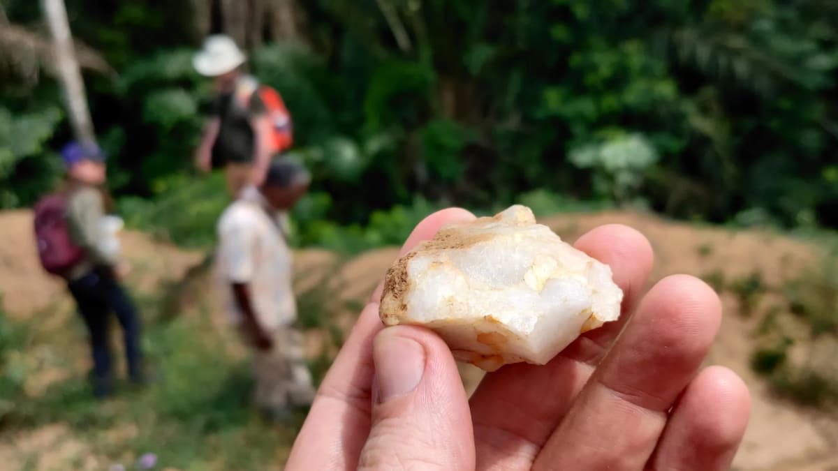 Ancient stone tool excavated from 150,000-year-old rainforest site in West Africa