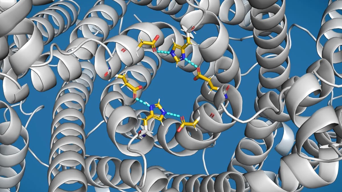 Scientists Find "Overflow Valve" Linked to Parkinson's