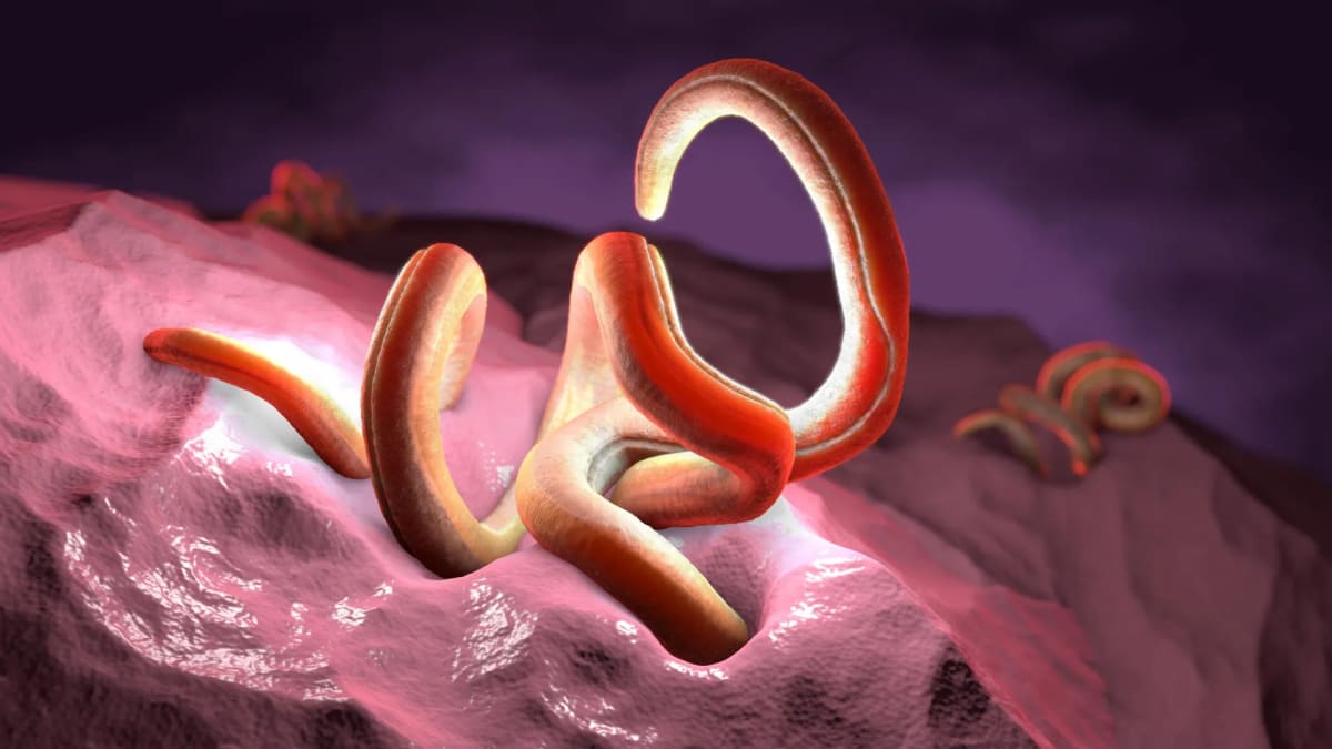Colorful illustration of healthy gut bacteria and intestinal system with fiber-rich foods nearby
