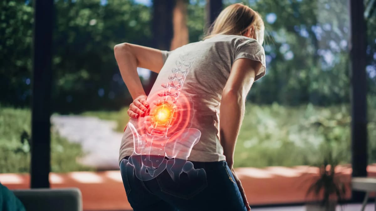 Bone Hormone Blocks Pain Nerves, Eases Chronic Back Pain