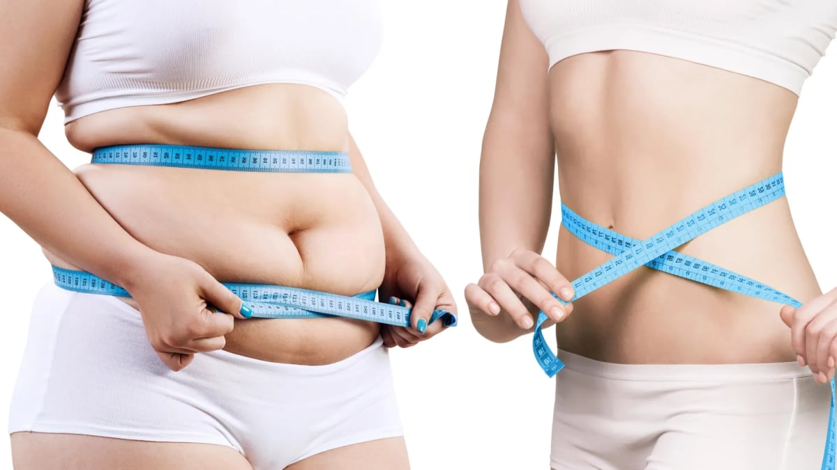 Scientists Find Protein Switch That Burns Fat