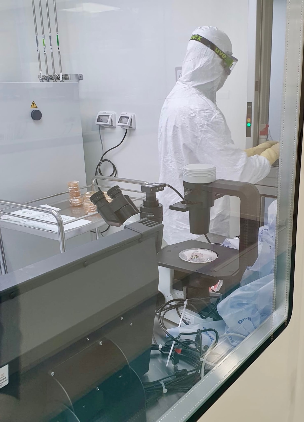 New Cell Therapy Brings Hope to 300M With Cornea Disease - Image 4