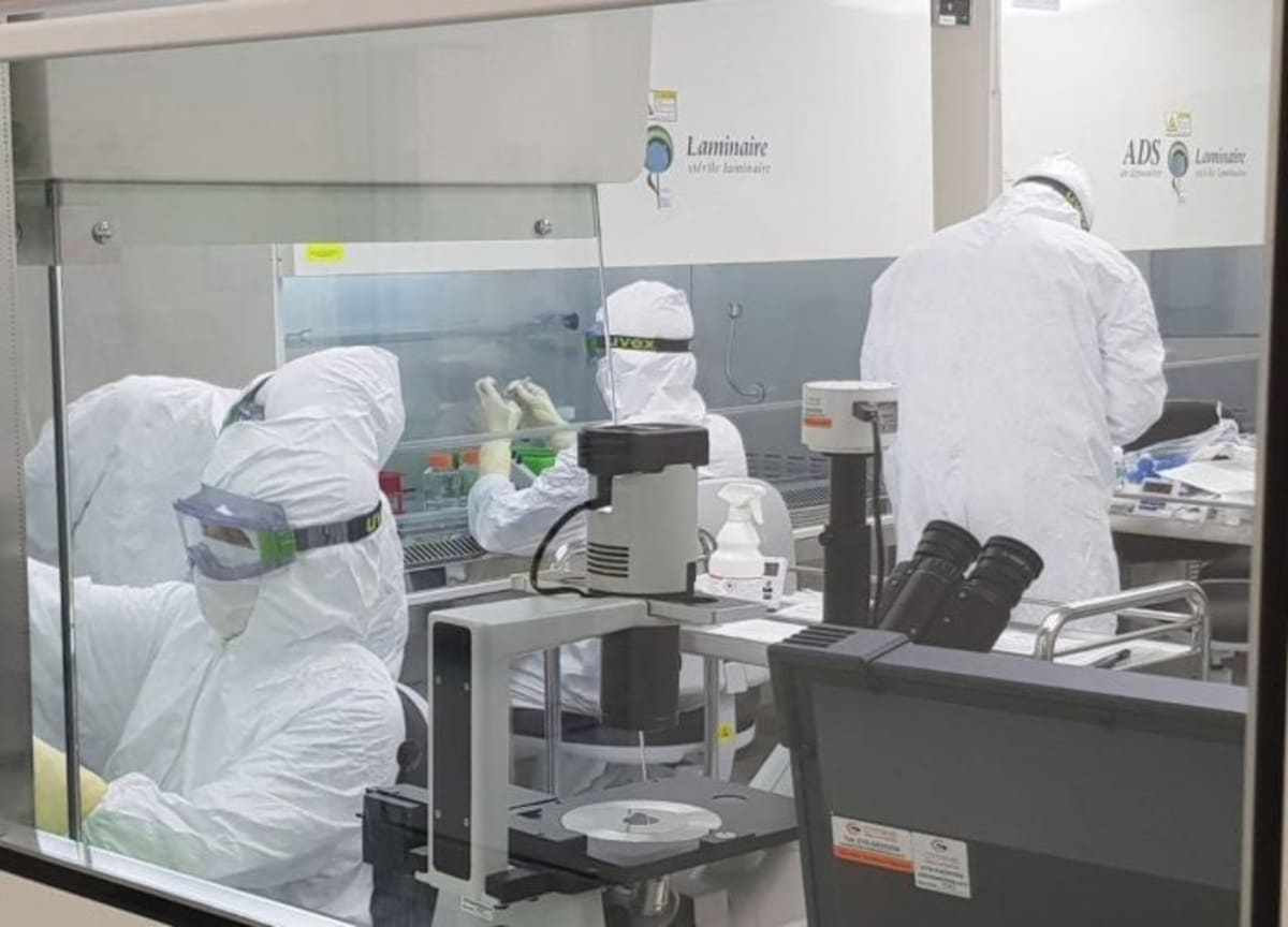 New Cell Therapy Brings Hope to 300M With Cornea Disease - Image 3