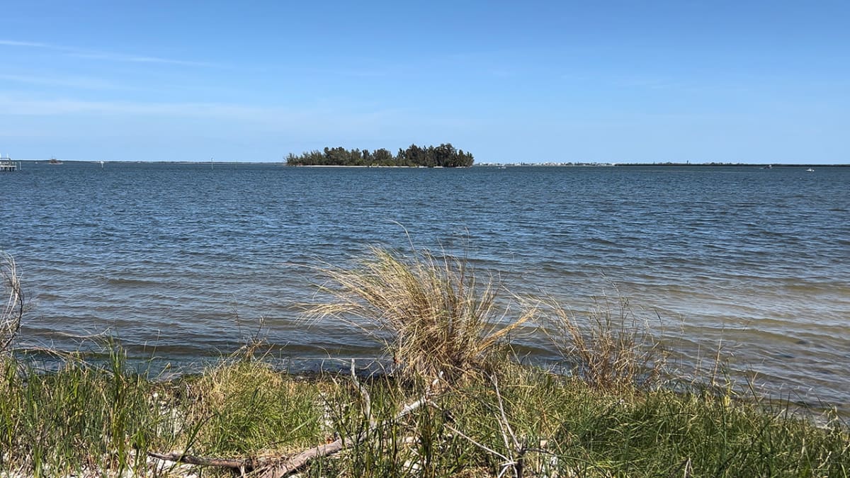 Credit Union Volunteers Restore Oyster Beds in Florida