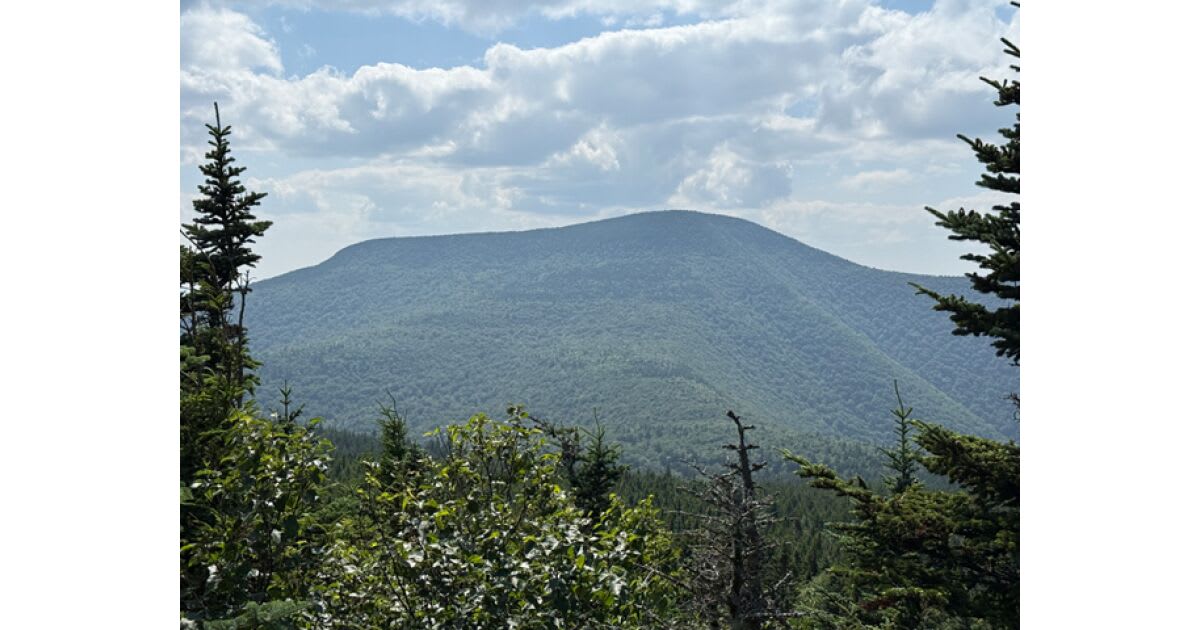 Rangers Save Life in Midnight Slide Mountain Search