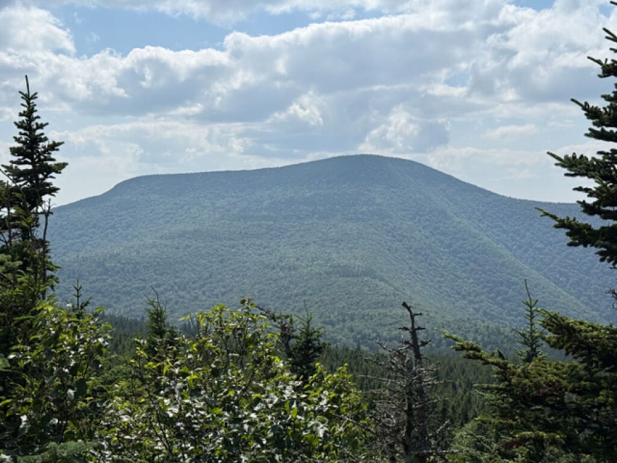 Rangers Save Life in Midnight Slide Mountain Search - Image 3