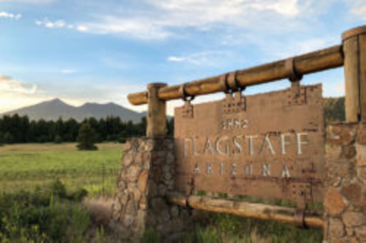 Flagstaff Volunteers to Plant Trees in 70-Year Fire Scars - Image 5