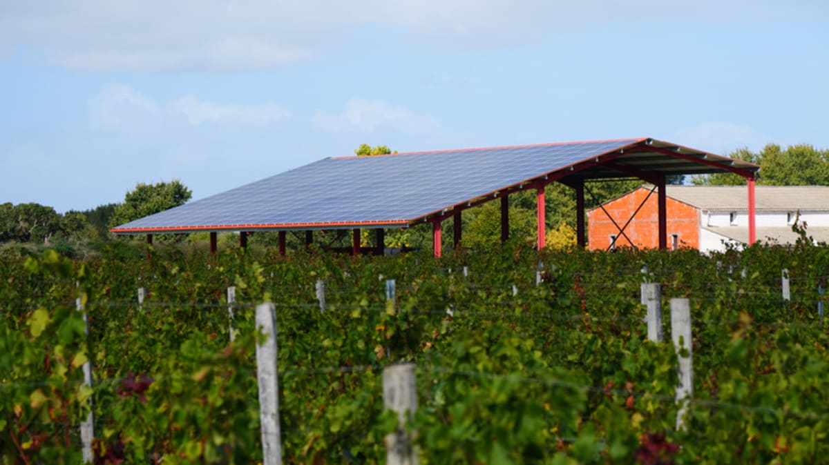 Solar Farms Now Growing Food and Saving Water Across U.S. - Image 3